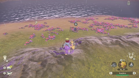 Légendes Arceus : en attendant Pokémon Écarlate Violet,  tous nos guides sur le premier monde semi-ouvert de la saga