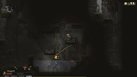 Vagante: Finally a roguelike at the height of the master Hades?