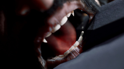 Vampire The Masquerade Swansong : une histoire vraiment sangsationnelle ? 