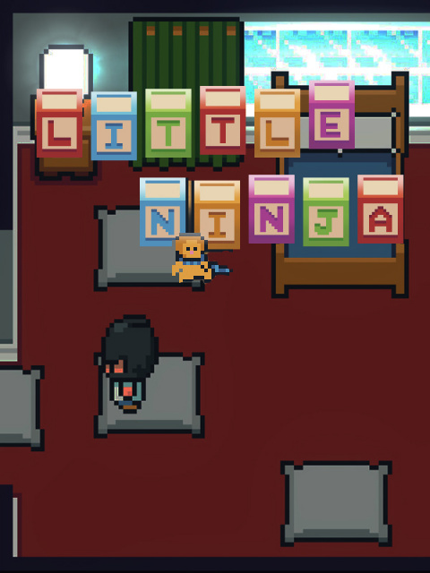Little Ninja sur Linux