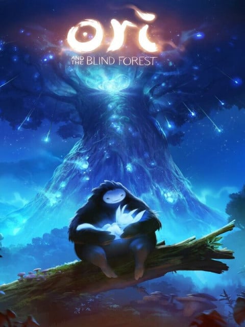 Ori and the Blind Forest sur PC