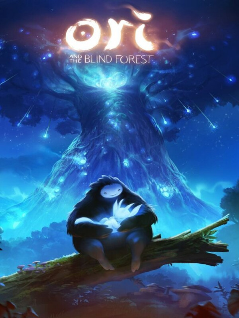Ori and the Blind Forest sur Switch