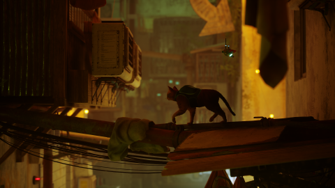 Stray: here are the three cute felines who inspired the hero of this indie PS5 and PC surprise!