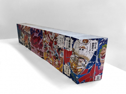 One Piece : il réunit tous les tomes dans un seul volume de 21 000 pages à un prix délirant !