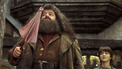 Harry Potter : la douloureuse annonce de ce décès secoue les acteurs des films et les fans