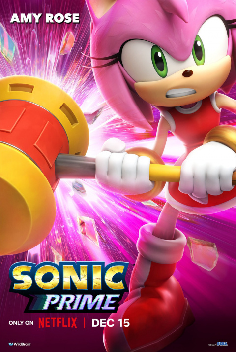 Sonic a quelque chose d’important à vous annoncer et ça concerne la série Netflix