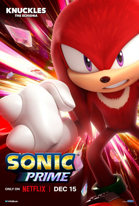Sonic a quelque chose d’important à vous annoncer et ça concerne la série Netflix