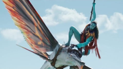 Avatar 2 : carton au Box-Office obligatoire, le pari le plus risqué de l'histoire du cinéma !