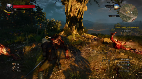 The Witcher 3 Next-Gen : Quels sont les ajouts des versions PS5 et Xbox Series ?