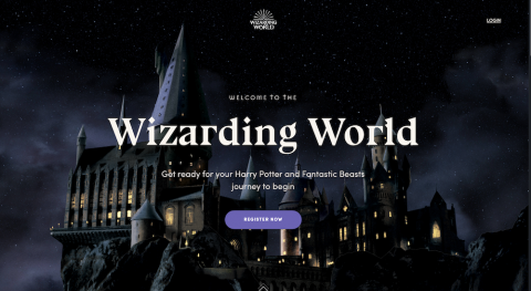 Harry Potter : les baguettes et leur compositions expliquées en amont de Hogwarts Legacy