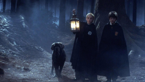 Hogwarts Legacy : l'Héritage de Poudlard - l'univers de Harry Potter comme vous ne l'avez jamais vu !