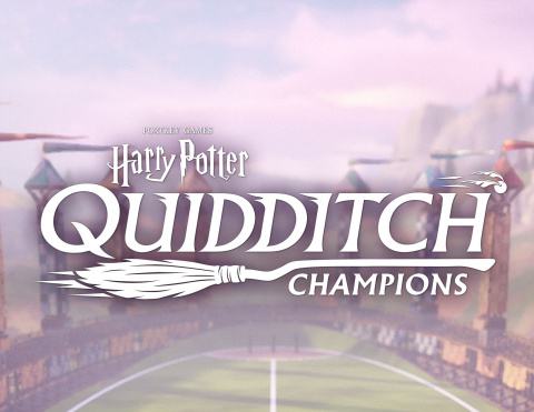 Harry Potter : Quidditch Champions sur Xbox Series