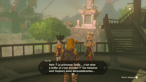 Paravoile Zelda Tears of the Kingdom : Comment l'obtenir et changer son apparence ?