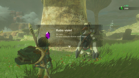 Rubis Zelda Tears of the Kingdom : comment gagner de l'argent facilement ? 