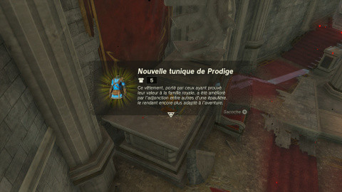 Zelda Tears of the Kingdom prodigy tunic: how to get this outfit?