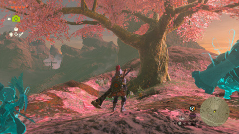 Où trouver Satori et tous les cerisiers en fleurs pour révéler les grottes ?