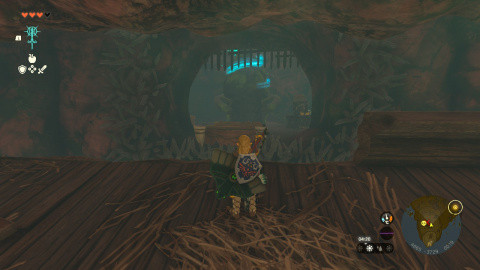 Zelda Tears of the Kingdom Finalis Island Sanctuary: how to get there and solve the Maya Liïna riddle?
