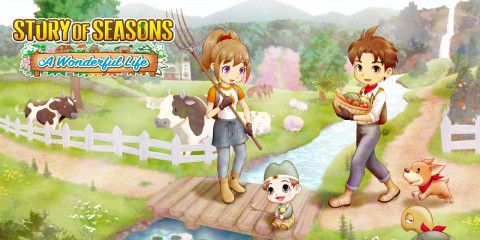 Story of Seasons : A Wonderful Life sur PS5