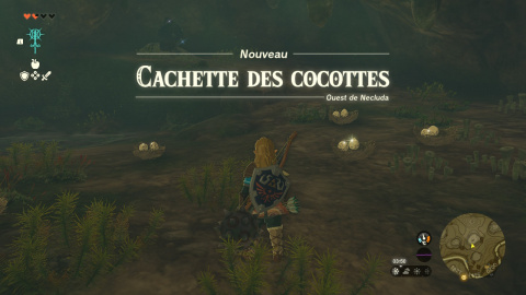Les œufs des Cocottes Zelda Tears of the Kingdom : comment récupérer 10 œufs de volatiles ?
