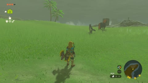 Chevaux spéciaux Zelda Tears of the Kingdom : Cheval doré, chevaux géants, Epona... Où les trouver ?