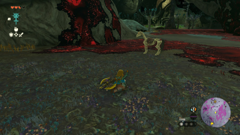 Zelda Tears of the Kingdom special horses: Golden horse, giant horses, Epona... Where to find them?