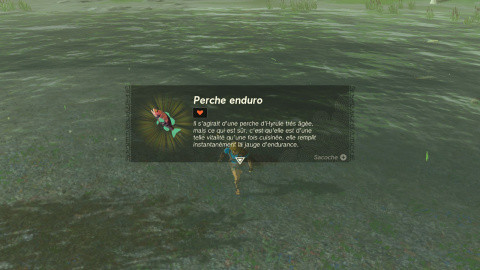 Perche enduro Zelda Tears of the Kingdom : comment trouver ce poisson pour Ghenkott ?