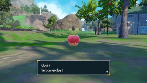 Pomdramour DLC Pokémon Écarlate & Violet : comment obtenir la nouvelle évolution de Verpom ?