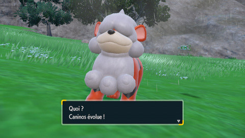 Arcanin de Hisui DLC Pokémon Écarlate et Violet : comment faire évoluer Caninos de Hisui ?