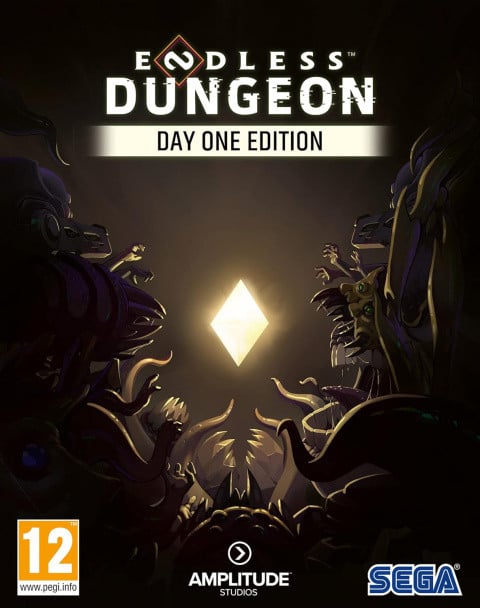 Endless Dungeon sur Switch