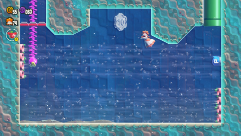 Bassin des Limanges Mario Wonder : comment terminer ce niveau à 100% ?