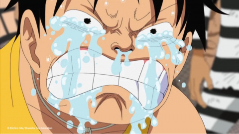 Il y a 14 ans, ce personnage adoré des fans réalisait l'une des actions les plus importante de One Piece