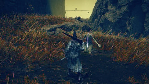 Ô Mère Elden Ring DLC : Où trouver cette émote pour atteindre le Village des Chamans de Shadow of the Erdtree ?