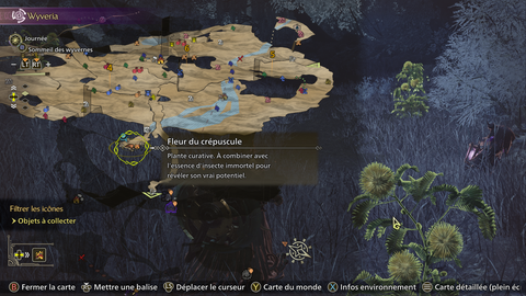 Numismate Monster Hunter Wilds : Où trouver des Curiocrabes pour réaliser ce succès ?