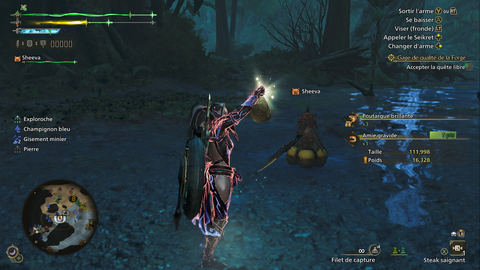 Amie gravide Monster Hunter Wilds : Où trouver cette créature aquatique ?