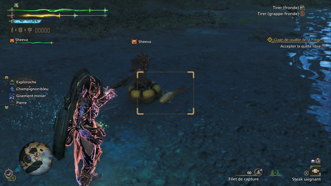 Amie gravide Monster Hunter Wilds : Où trouver cette créature aquatique ?