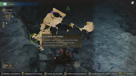 Scarabée des neiges Monster Hunter Wilds : Où trouver cette créature endémique ? 