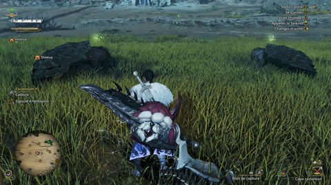 Pousse de wyverne Monster Hunter Wilds : Comment obtenir cet objet spécial ?