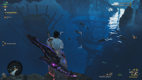 Escunite Monster Hunter Wilds : Où trouver cette créature aquatique ?