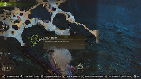 Pièce wyverne antique Monster Hunter Wilds : Où trouver ce matériau d'échange ?