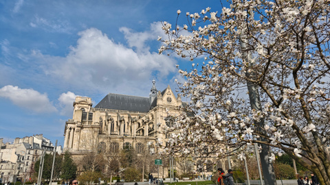 Test du Xiaomi 15 Ultra : est-ce le smartphone ultime pour la photo ?
