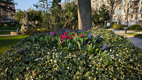 Test du Xiaomi 15 Ultra : est-ce le smartphone ultime pour la photo ?