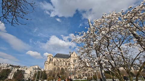 Test du Xiaomi 15 Ultra : est-ce le smartphone ultime pour la photo ?