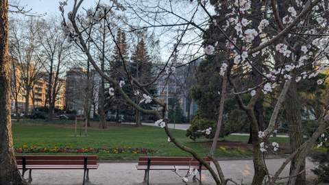 Test du Xiaomi 15 Ultra : est-ce le smartphone ultime pour la photo ?