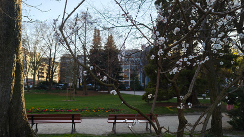 Test du Xiaomi 15 Ultra : est-ce le smartphone ultime pour la photo ?