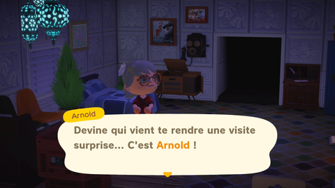 Animal Crossing New Horizons : La Switch 2 est-elle vraiment indispensable pour profiter du jeu ?