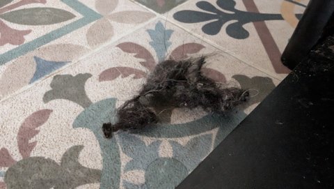 Lavage au rouleau vs serpillères : j'ai testé le Dreame Aqua10 Ultra Roller mais tout ne s'est pas passé comme prévu...