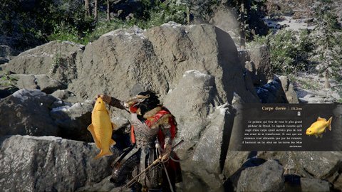 Gros chat Crimson Desert : comment monter la confiance rapidement sans trop d’effort ?