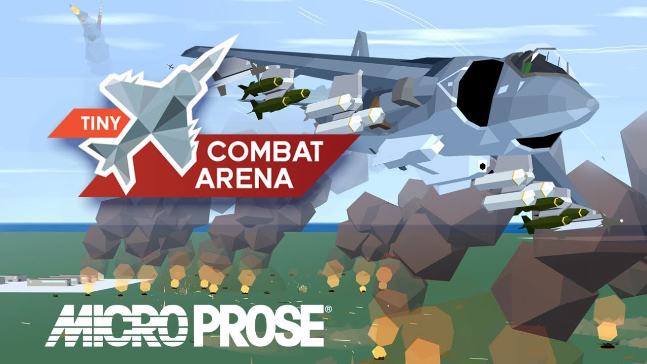 Tiny Combat Arena sur PC - jeuxvideo.com